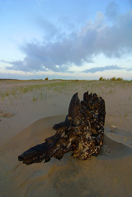 BUITEN BEELD Foto: 43792