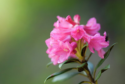 BUITEN BEELD Foto: 43803