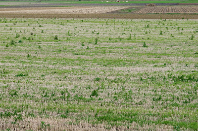 BUITEN BEELD Foto: 43807