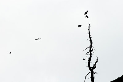 BUITEN BEELD Foto: 43810