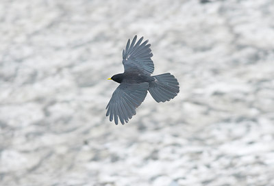 BUITEN BEELD Foto: 43811