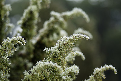BUITEN BEELD Foto: 43888