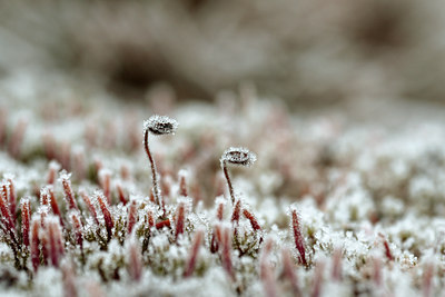 BUITEN BEELD Foto: 43891