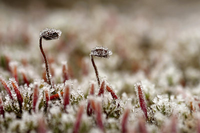 BUITEN BEELD Foto: 43892