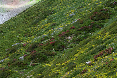 BUITEN BEELD Foto: 43904