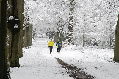 BUITEN BEELD Foto: 43918