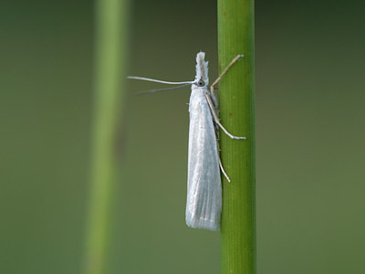 BUITEN BEELD Foto: 43924
