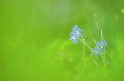 BUITEN BEELD Foto: 43942