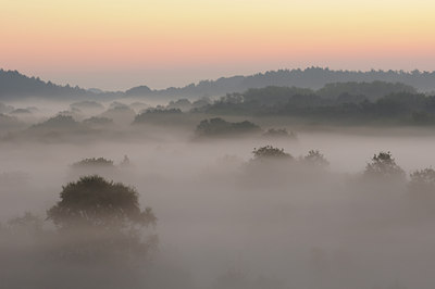 BUITEN BEELD Foto: 43976