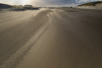 BUITEN BEELD Foto: 43978