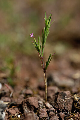 BUITEN BEELD Foto: 439005