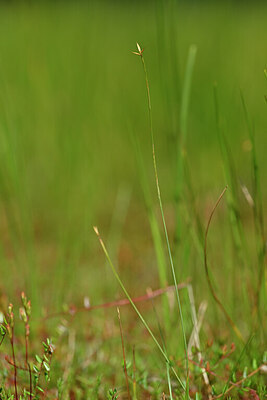 BUITEN BEELD Foto: 439019