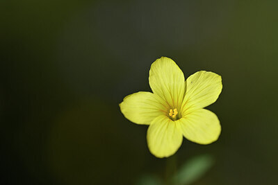 BUITEN BEELD Foto: 439031