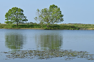 BUITEN BEELD Foto: 439058