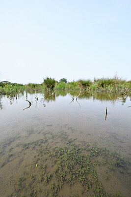 BUITEN BEELD Foto: 439061