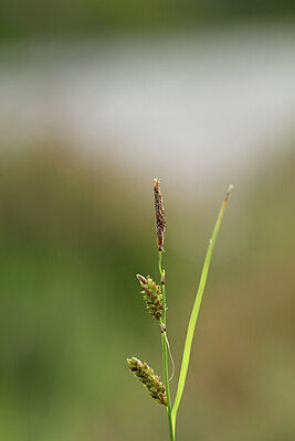 BUITEN BEELD Foto: 439088
