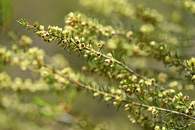 BUITEN BEELD Foto: 439092