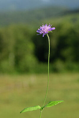 BUITEN BEELD Foto: 439120