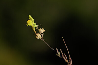 BUITEN BEELD Foto: 439122