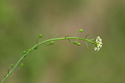 BUITEN BEELD Foto: 439123