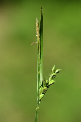 BUITEN BEELD Foto: 439153