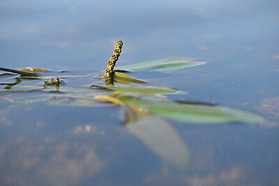 BUITEN BEELD Foto: 439169