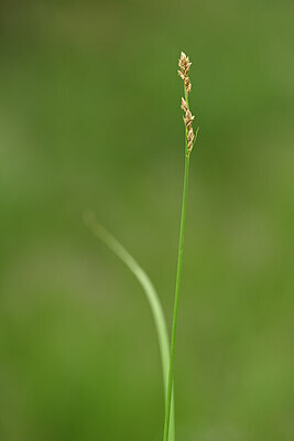 BUITEN BEELD Foto: 439186