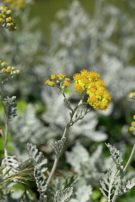 BUITEN BEELD Foto: 439189