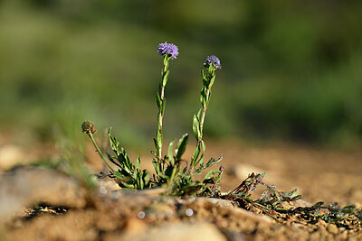 BUITEN BEELD Foto: 439194