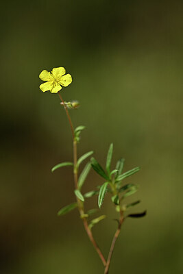 BUITEN BEELD Foto: 439196