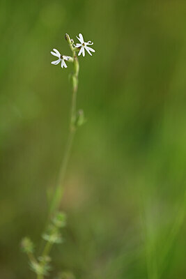 BUITEN BEELD Foto: 439223