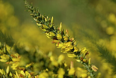 BUITEN BEELD Foto: 439234