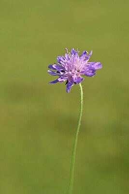BUITEN BEELD Foto: 439242