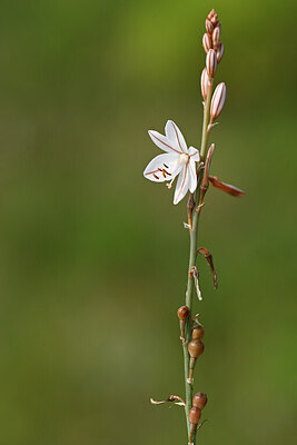 BUITEN BEELD Foto: 439290