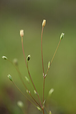 BUITEN BEELD Foto: 439292