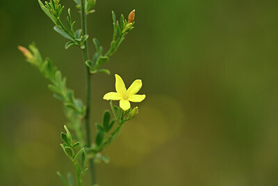 BUITEN BEELD Foto: 439301