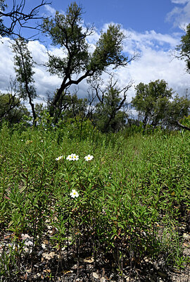 BUITEN BEELD Foto: 439313
