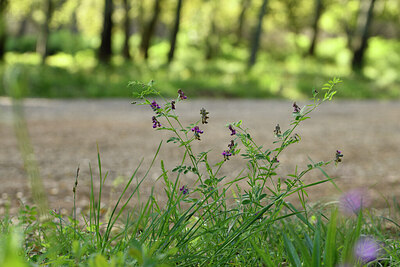 BUITEN BEELD Foto: 439314