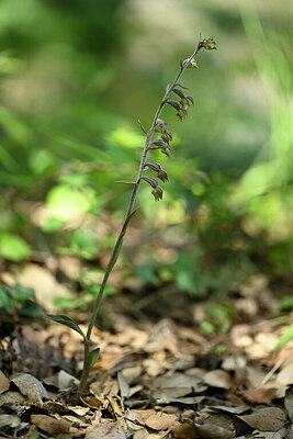 BUITEN BEELD Foto: 439315