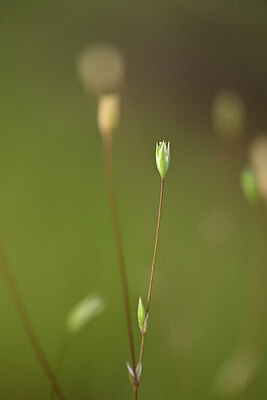 BUITEN BEELD Foto: 439321