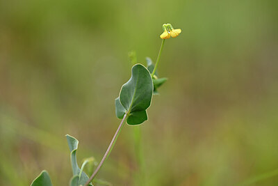 BUITEN BEELD Foto: 439323