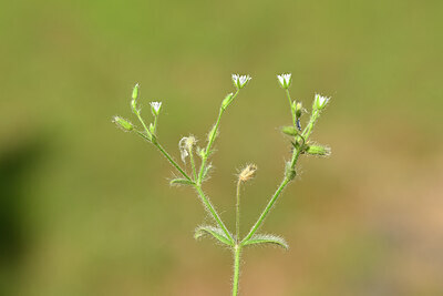 BUITEN BEELD Foto: 439326