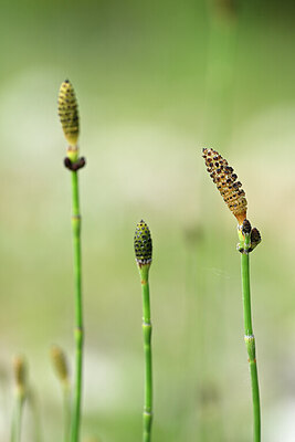 BUITEN BEELD Foto: 439327