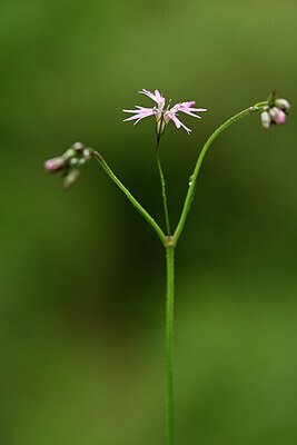 BUITEN BEELD Foto: 439343