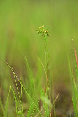 BUITEN BEELD Foto: 439348