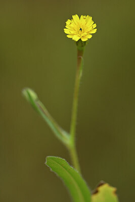 BUITEN BEELD Foto: 439359
