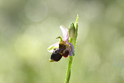 BUITEN BEELD Foto: 439360