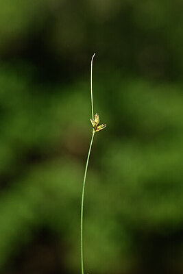 BUITEN BEELD Foto: 439362