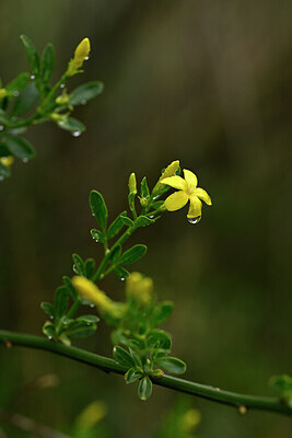 BUITEN BEELD Foto: 439375