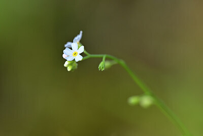 BUITEN BEELD Foto: 439384